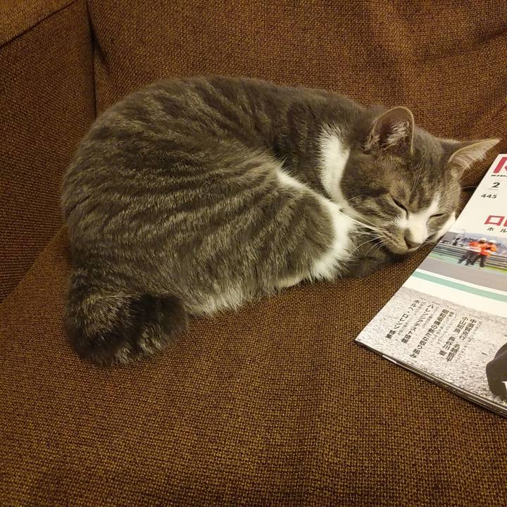 1c598eac f00b 4596 bf20 72f589be6764 1578057261102