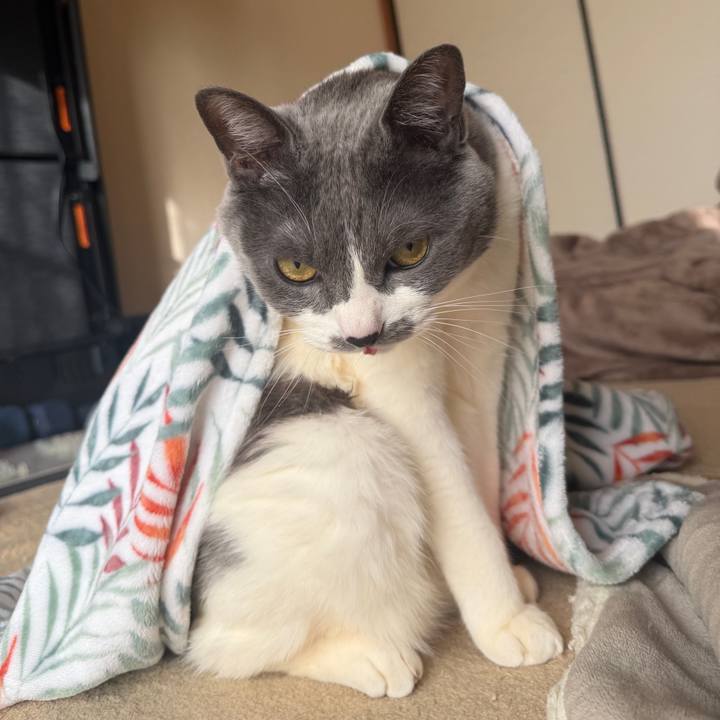 1c599c8d e48a 464f b9ab 659cf8d9aba7 1769559079941