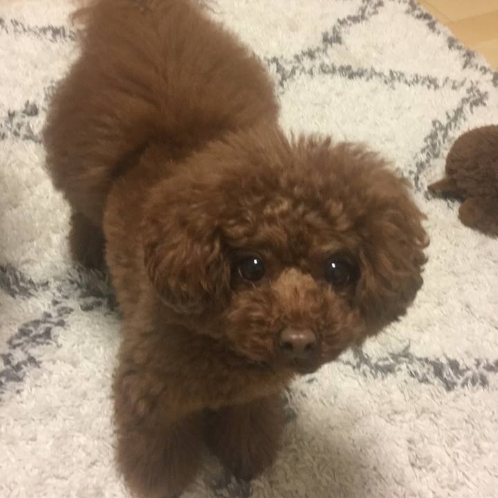 1c59cccb 9f04 471f 9529 fc8f2ee824b5 1517960439827