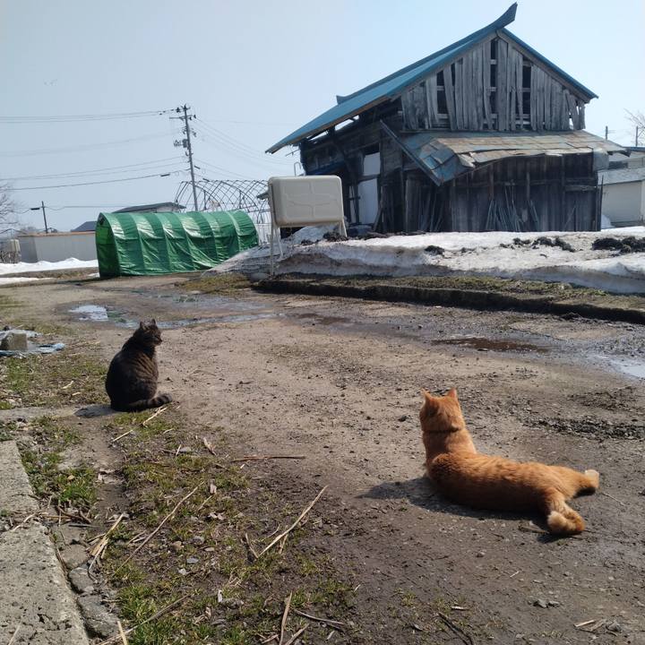 1c59f65e d884 4668 8401 f2f236b811f6 1678331102244