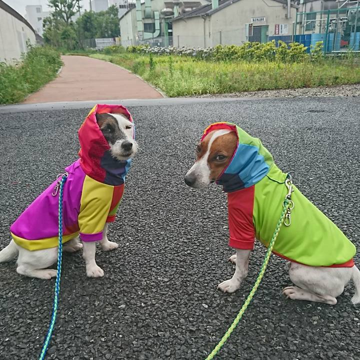 1c5a5b1b e32f 42c3 831e 96099e5bdc83 1593506900187