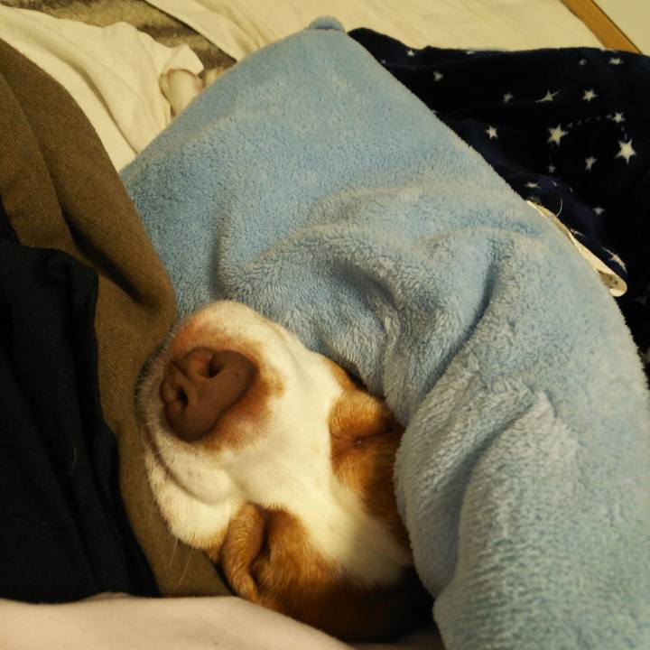 1c5a7144 ac39 4a4e b719 9a565581837e 1590587437789