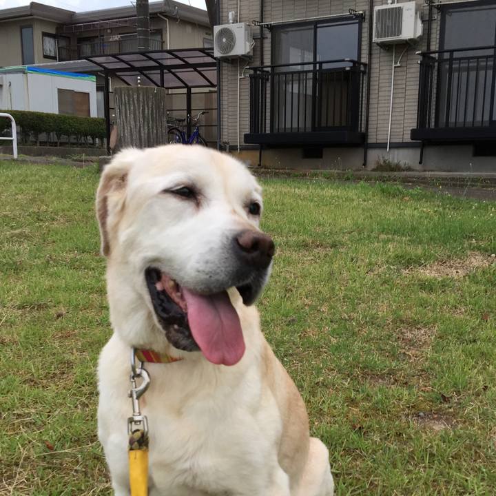 1c5a803b 9985 43ee 9042 382f078cd8c1 1530613226962