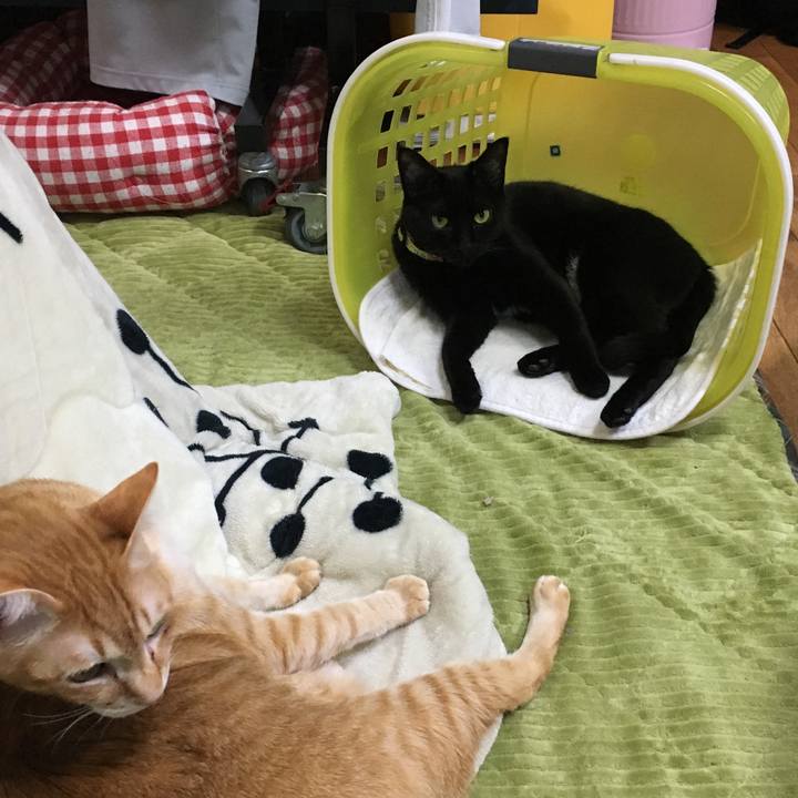 1c5aa4e7 e045 4668 b25f f707cd6d8909 1550150852942