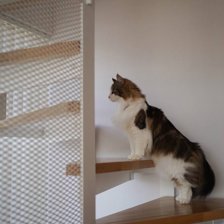 1c5aae34 7d4f 48ce a388 1bd22c59cc83 1584700164285