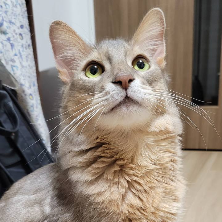 1c5ab327 9d8c 4336 82de 1c36c98b2ae3 1667649534251