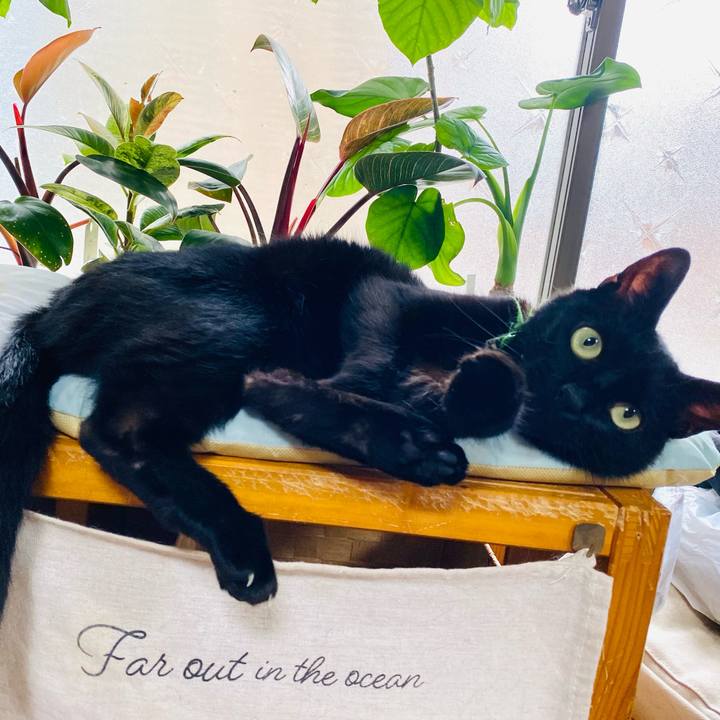 1c5ab58e 5cbe 4d83 877f 0e3c9c76864d 1749954067441