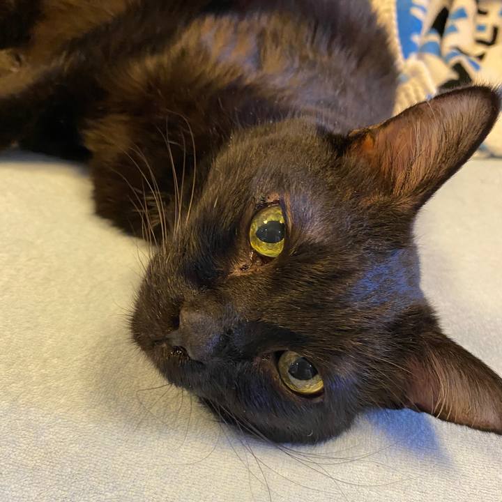 1c5ab9e2 10bc 416b b6dd 0ac5b4d21033 1633524587748