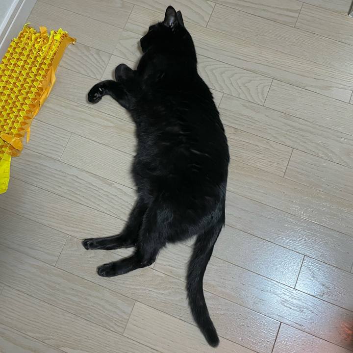 1c5aeb36 c8b5 4362 be2e 4b29ea0e3e8f 1740058200408