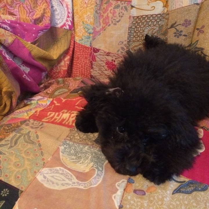 1c5b14c8 870e 4f44 90e0 1b565b3041f6 1507863987041