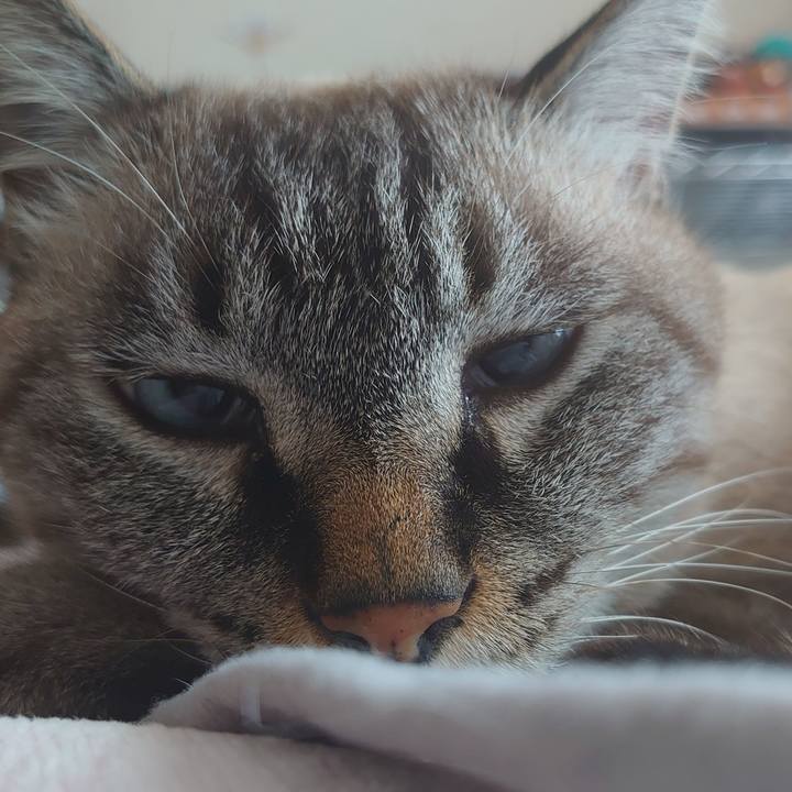 1c5b4950 945d 4e0e 81f9 b1a9b653e997 1666485730121