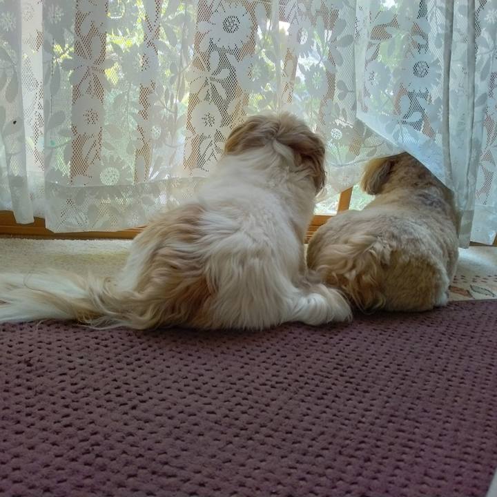 1c5b5fc9 f00a 45c9 8306 2c0317c7af84 1652919889994