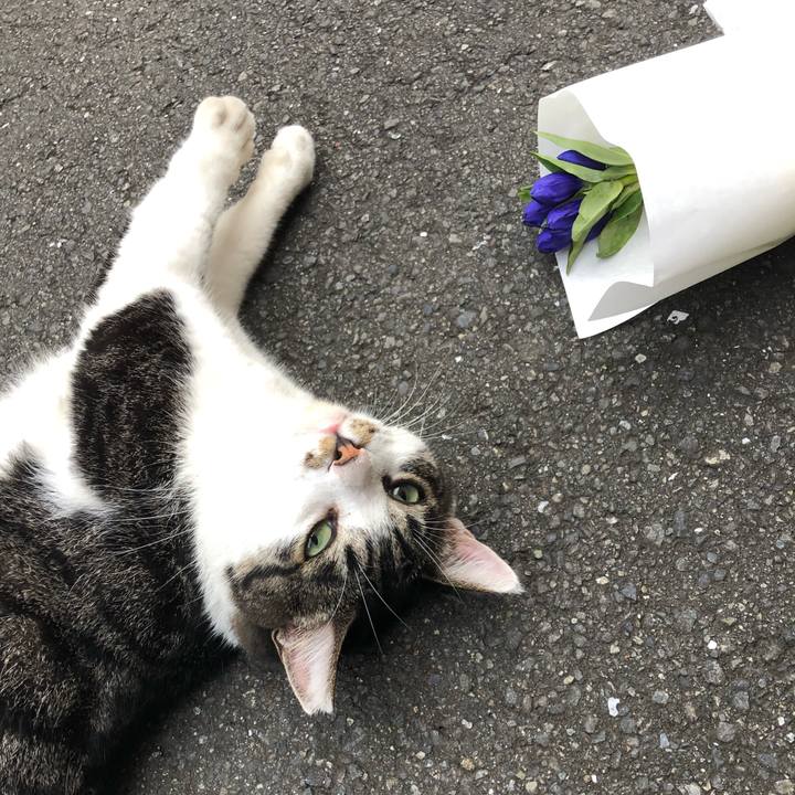 1c5b6a81 f479 4d51 8b23 0a4d48962fda 1568984457911