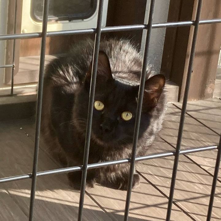 1c5b76a3 7402 4d3a bba1 dff49e56b0e5 1711839570374