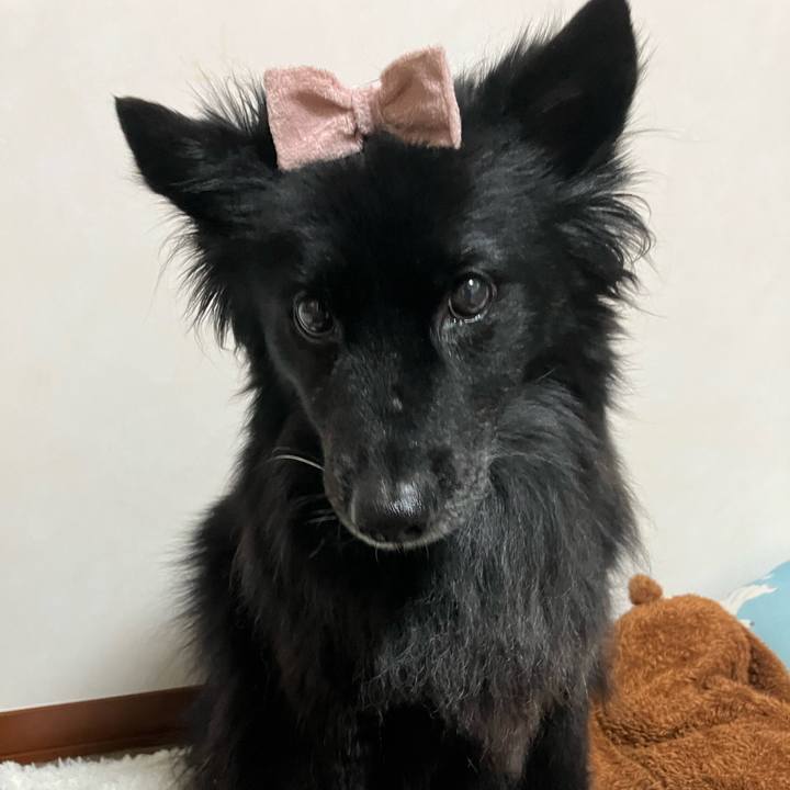 1c5b9417 7f18 417a 975c 4d5c72aa275f 1758721752960