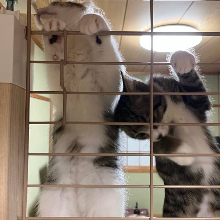 1c5ba08c ce56 4bfc ad90 b914964cc9b3 1689809973082