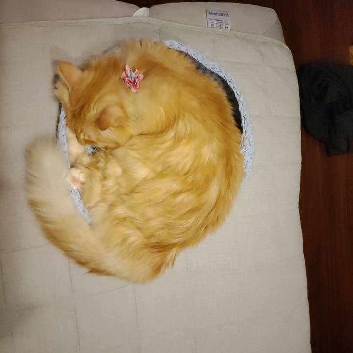 1c5bcd2d 5eb4 46fe 8f9c 552325cef183 1662420472351