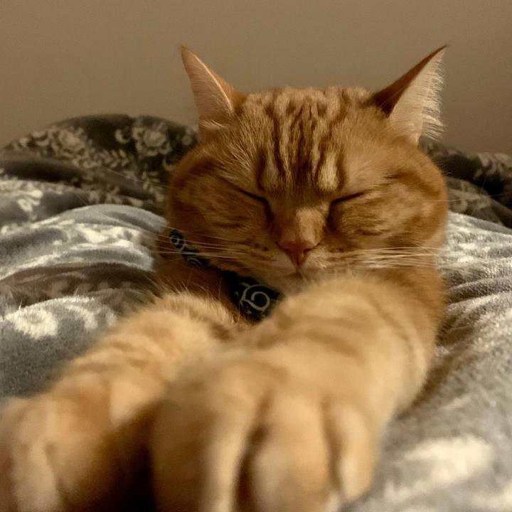 1c5bcdfa 4c2f 41a1 a9c3 9ce8066e31bc 1586733032505