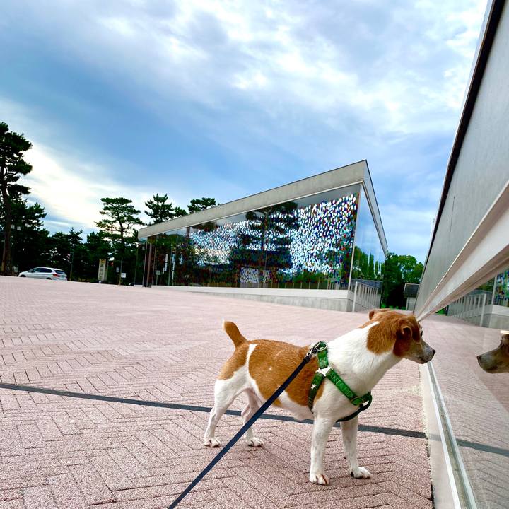 1c5bea6a e9c9 4bbb 8392 a90d26f1f0e0 1595406814169