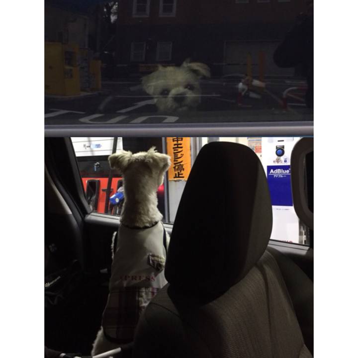 1c5c09fc 2410 4e78 98b1 ce20c036a823 1510579555670