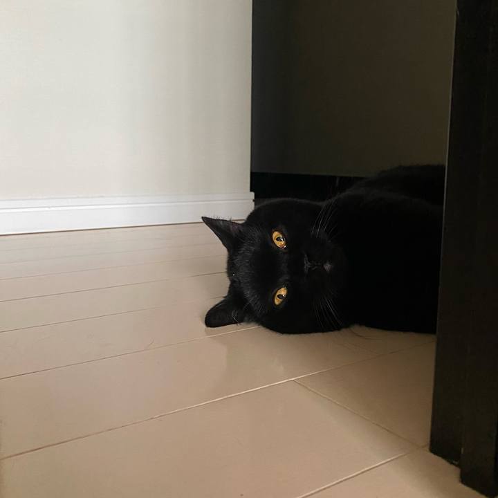 1c5c3c18 3cd3 4ef5 ab0d 31763415046b 1721189562701