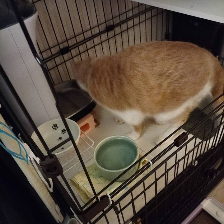 1c5c3e6b 4f05 4b90 b147 ed2a98bb27ff 1665576370217