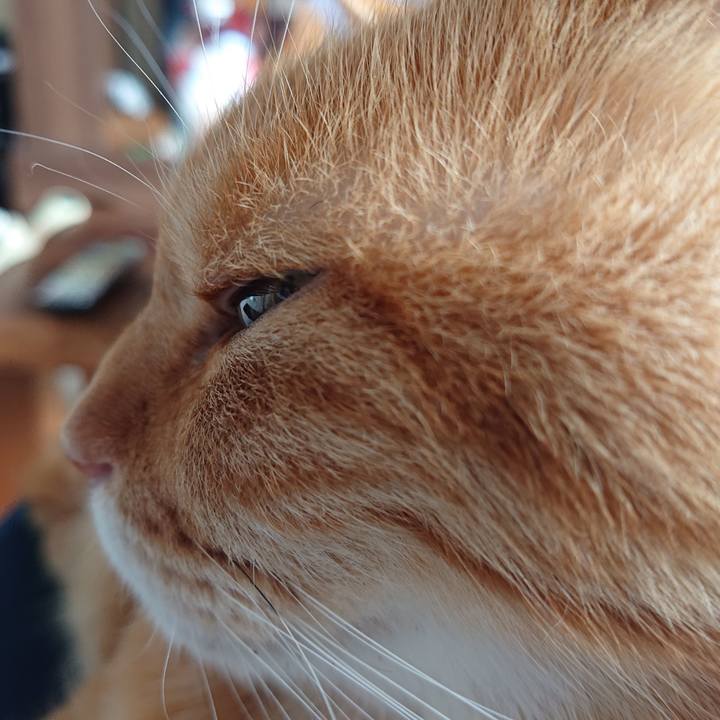 1c5c775b 2d88 450b b3ee a20be9633a7b 1589452637772