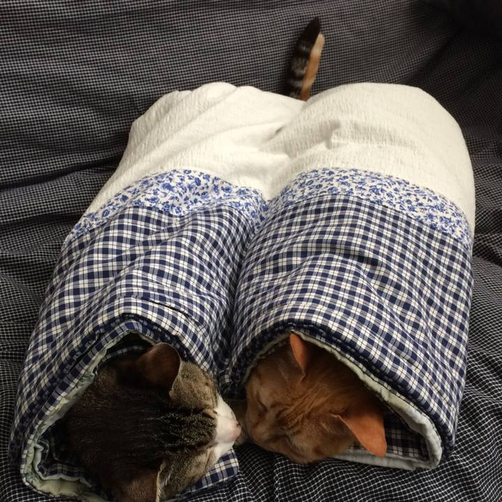 1c5c83d7 c2ff 46c0 9a40 f5739c43a25e 1554834948260