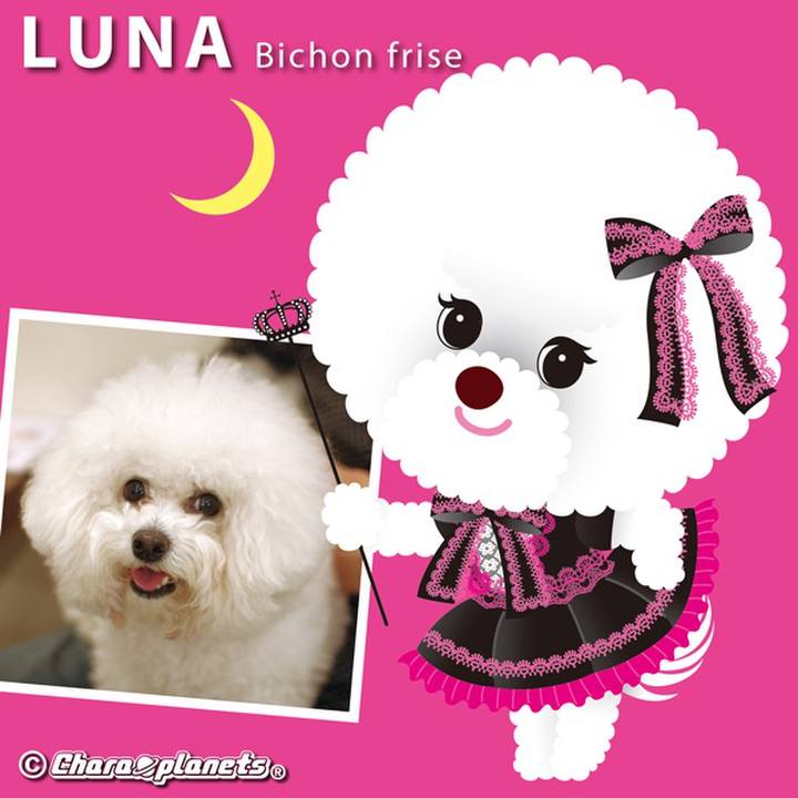 1c5c9a80 5ea1 4e89 9f8d 6ddad15850f1 1564021141661