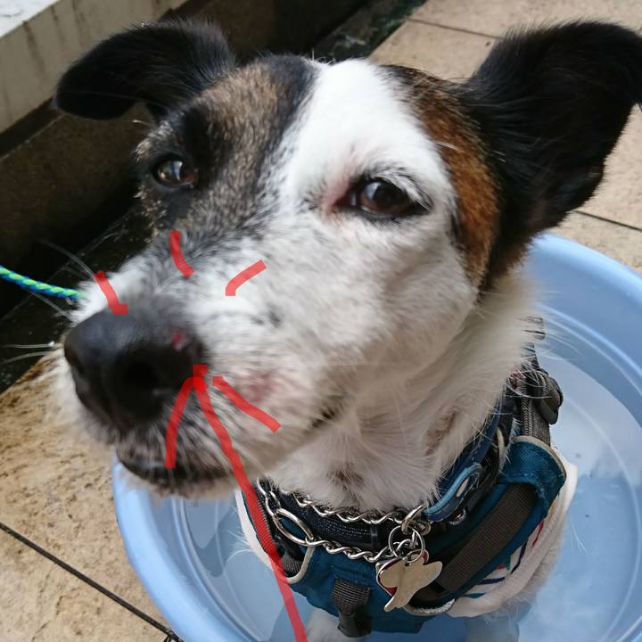 1c5cce09 2c41 46d6 b3e9 b6f1a14d4042 1598235775232