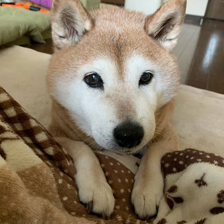 1c5ce503 b0b6 4512 bf6b e0268b717c42 1586570758620