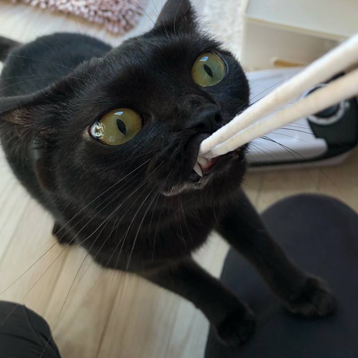 1c5cebbd a05d 4127 a23b 4ecfd8b6983b 1509058318764