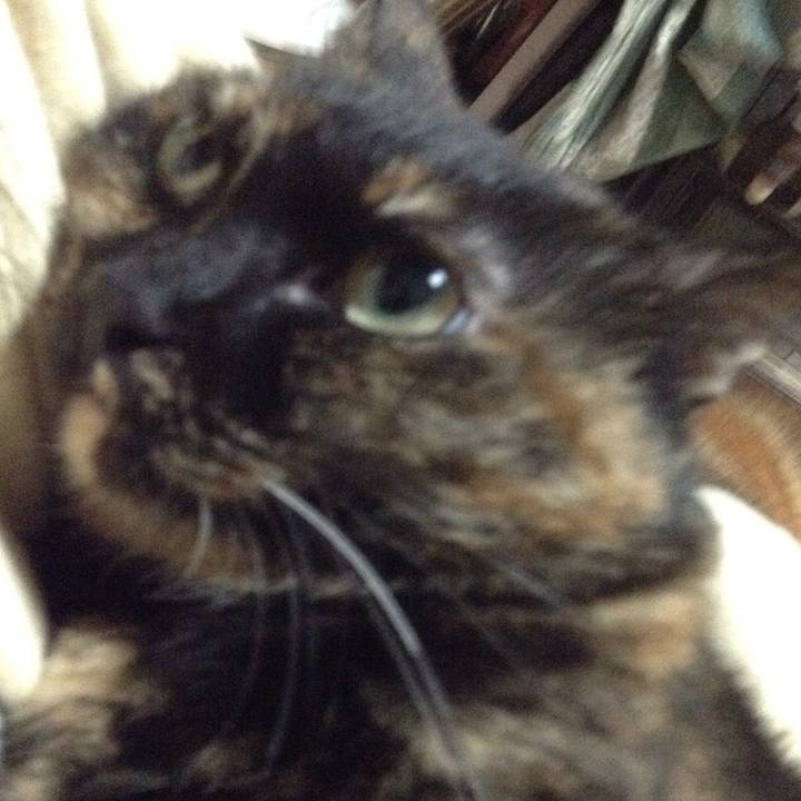 1c5cf12e 8528 4b45 a89d 1494e71c24f3 1508331537345