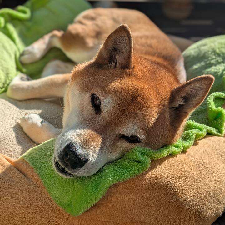 1c5cf42d 39b3 4f2d 9898 d24f99307492 1741619164611