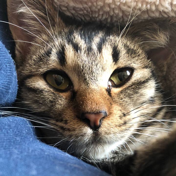 1c5d3f6c aeed 4828 9cdf cdb47a4f8d90 1735518305346