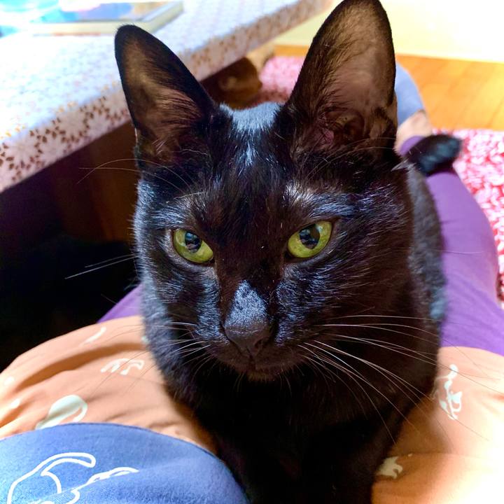 1c5d541b 88fb 42aa baa2 75523d31a393 1605957355114