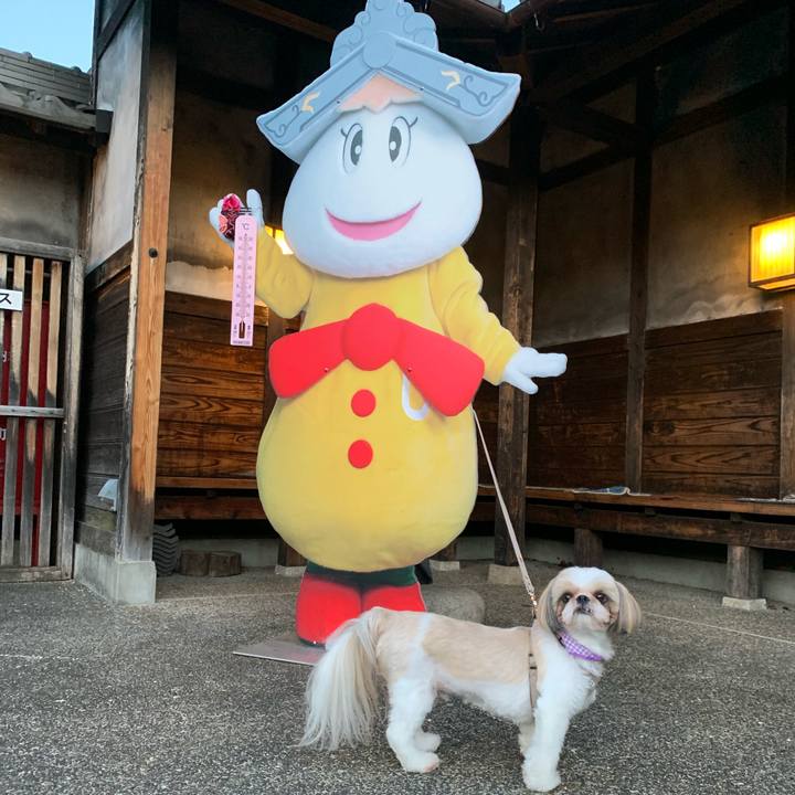 1c5d7950 3643 45c8 912c 8266a97750fe 1600752467713