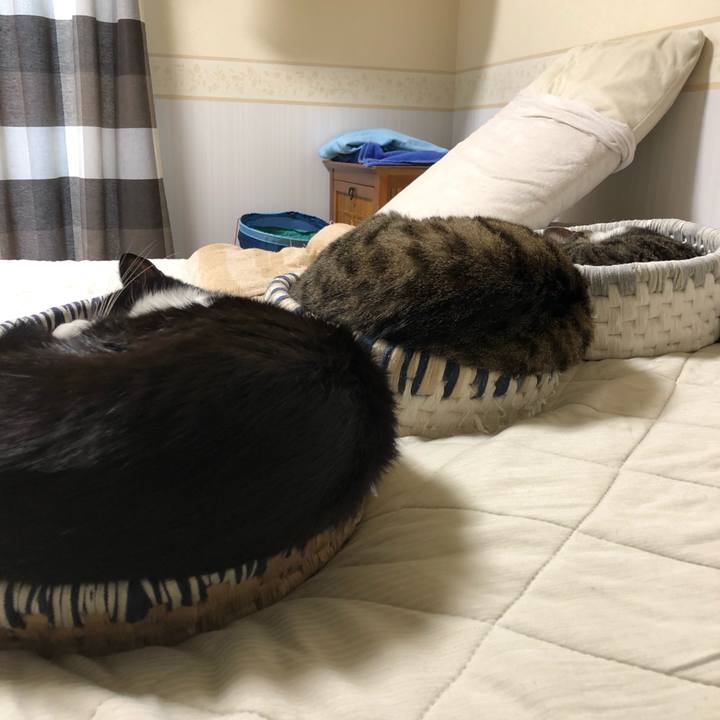 1c5d79eb d0ed 4270 8a11 f1456ede31fb 1625312114098