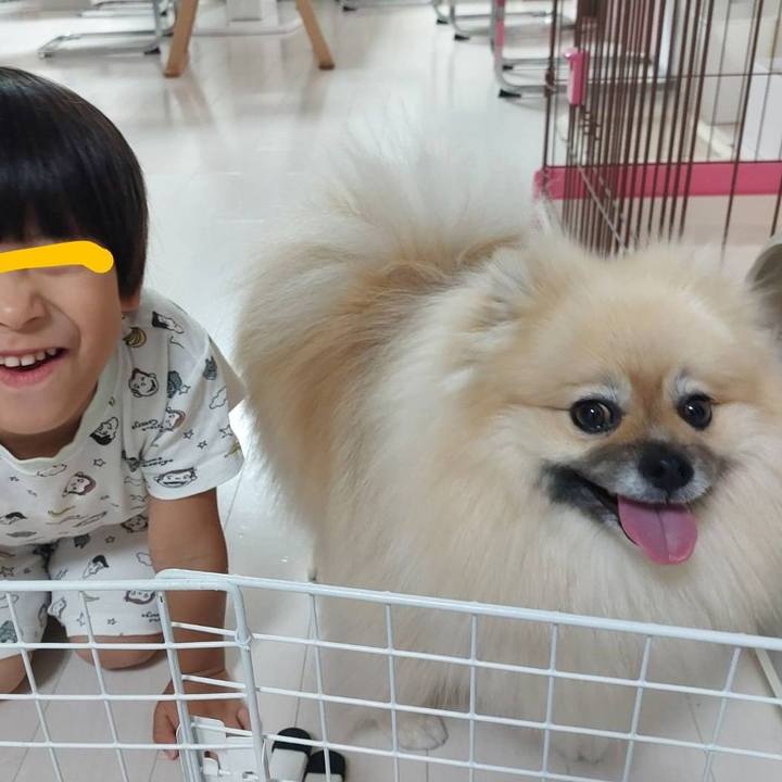 1c5d7ba9 0b9e 468b 95d8 69493cfa1242 1720690996357