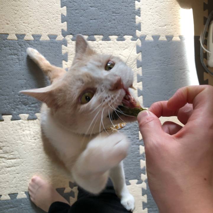 1c5d8e0e b14c 44a1 8d58 aa1efce38ef4 1596284598883