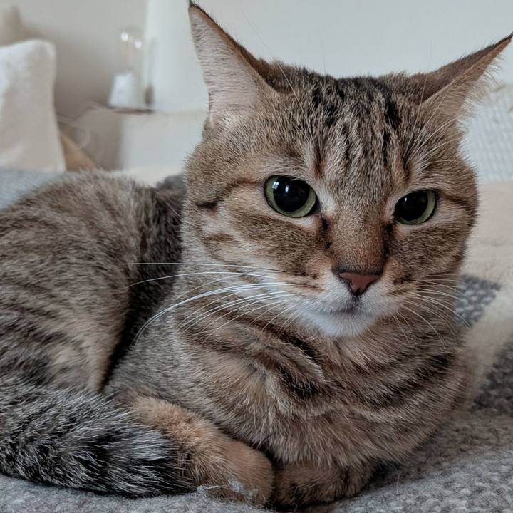 1c5d9097 9e7f 468a bbf5 be414873a8c1 1763678157554