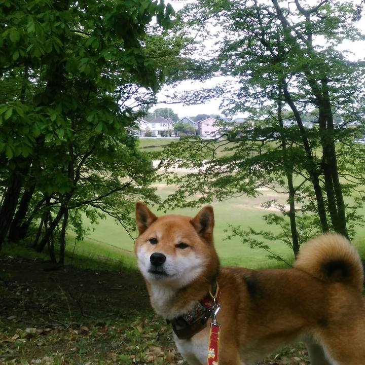 1c5d936f 4c36 4285 93ff 0ad93edad348 1523921750435