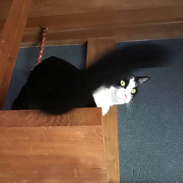 1c5d9eb2 0a04 4773 93f4 c6b7d43cce71 1723361733971