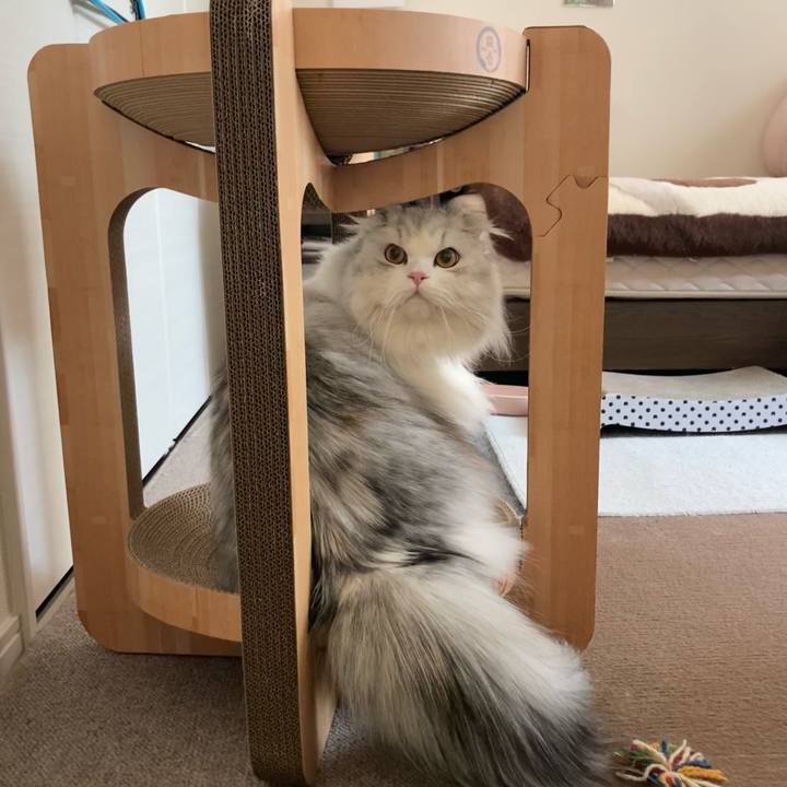 1c5da365 5d47 4635 b81a 38e889aceba4 1646286951344