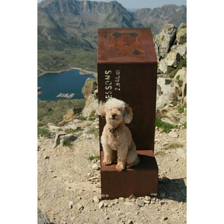 1c5dac7c a795 4800 8a9f 51751b86d83b 1563987787971