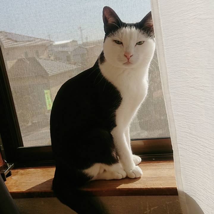 1c5db887 b17d 4950 9fbd 3e78a743b6c8 1516501832781