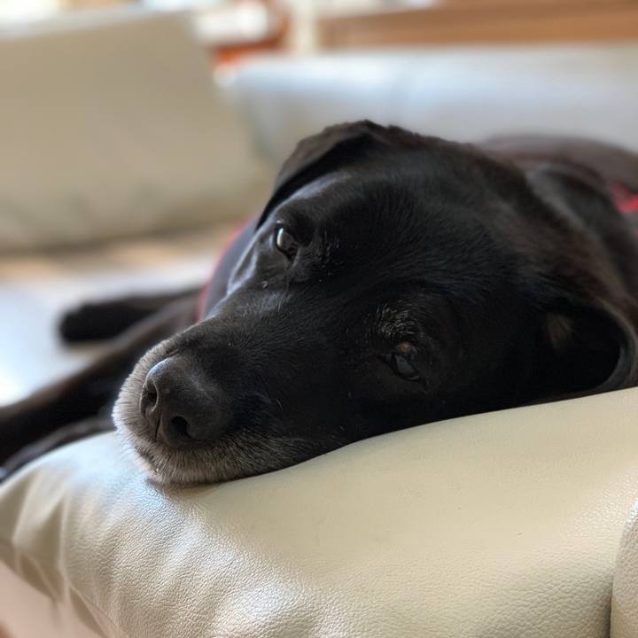 1c5dc70b f017 41e0 be3f e0613610cc26 1572958325651