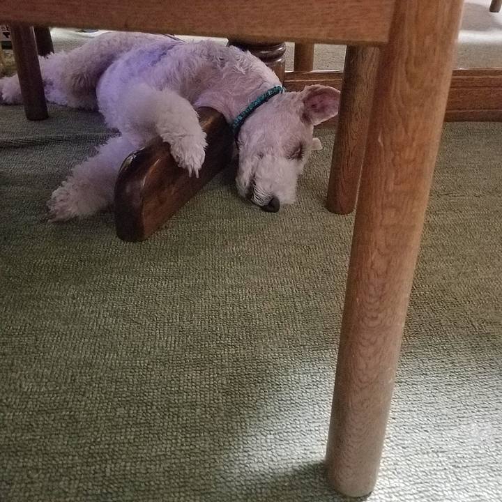 1c5dd576 e466 422b bb35 72082d12ad0e 1571110604916