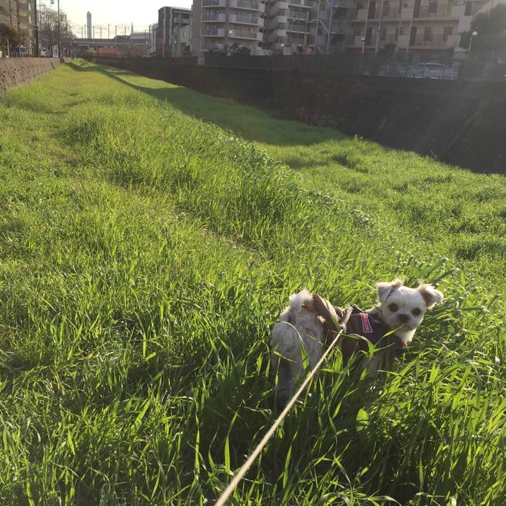 1c5ddca2 20a5 486b a0d6 14f8e00fb889 1545724418562