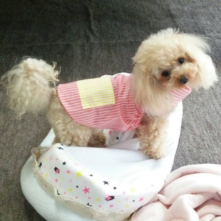 1c5df7da 8759 4501 92da 570da392232f 1527768885945